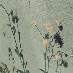 麻豆精品国产自产在线
